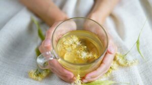 Remedios naturales para la salud digestiva